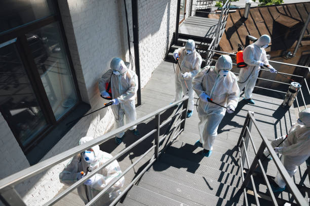 Best Mold Removal for HVAC Installations  in Fremont, IN