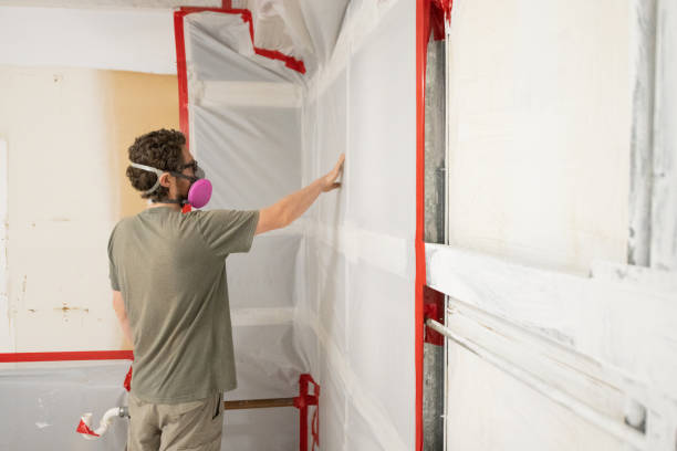 Best Indoor Air Quality Assessment  in Fremont, IN