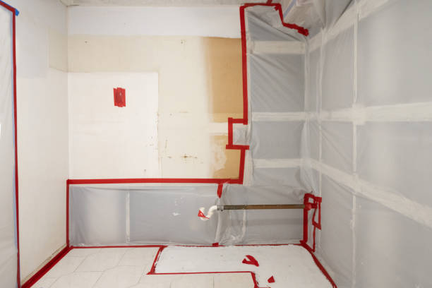 Best Post-Construction Mold Inspection  in Fremont, IN