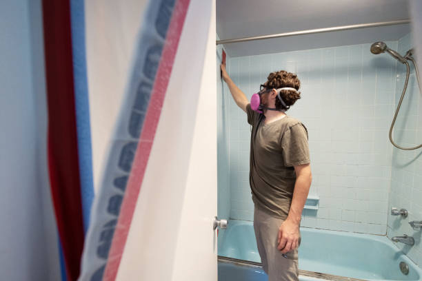 Best Mold Odor Removal Services  in Fremont, IN