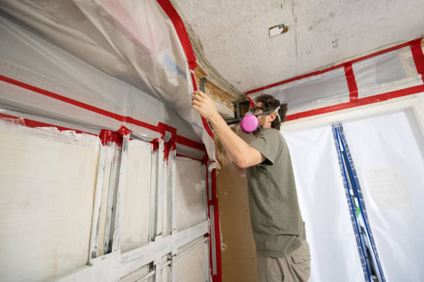 Best Air Quality Testing for Mold Spores  in Fremont, IN