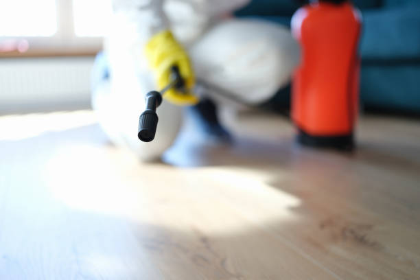 Best Real Estate Mold Inspection  in Fremont, IN