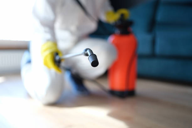 Best Forensic Mold Investigation  in Fremont, IN