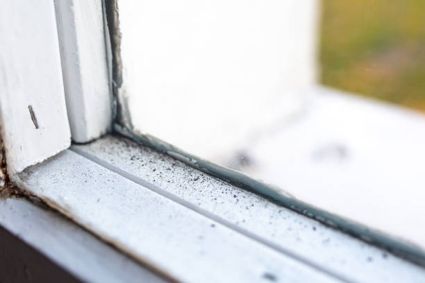 Best Mold Prevention Services  in Fremont, IN