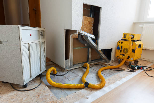 Mold Remediation for Vacation Homes in Fremont, IN