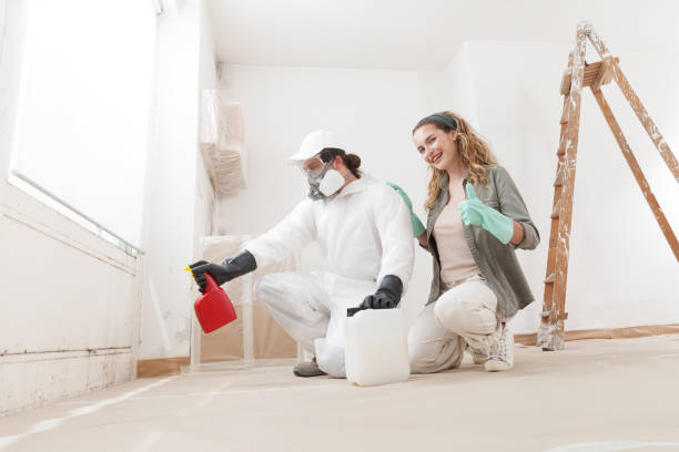 Best Emergency Mold Remediation  in Fremont, IN