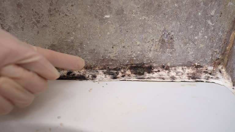 Best Crawl Space Mold Remediation  in Fremont, IN